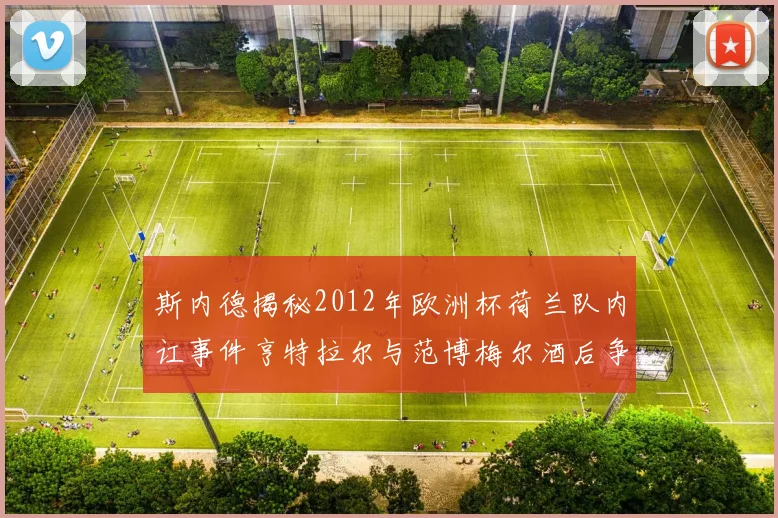 斯内德揭秘2012年欧洲杯荷兰队内讧事件亨特拉尔与范博梅尔酒后争执内幕